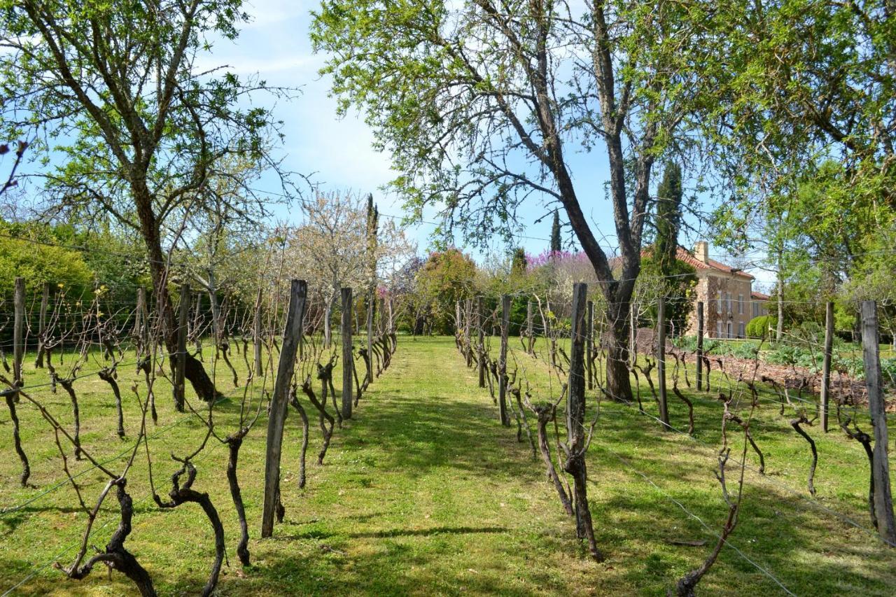 Chambre D'Hote Au Domaine Terre De Chenes Saint-Paul-de-Baise 외부 사진