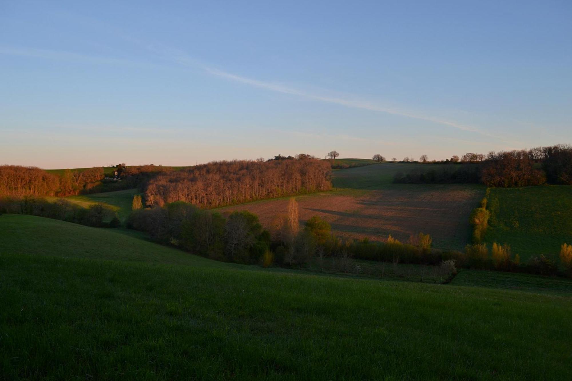 Chambre D'Hote Au Domaine Terre De Chenes Saint-Paul-de-Baise 외부 사진